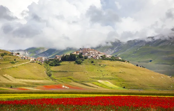 Картинка поле, небо, облака, цветы, город, холмы, дома, Италия