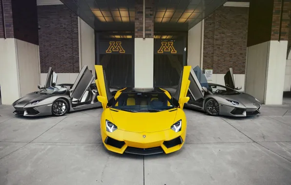 Картинка Lamborghini, Yellow, Trio, LP700-4, Aventador, Supercars, Gray