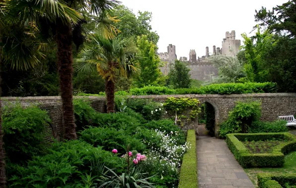 Картинка деревья, цветы, парк, пальмы, замок, стена, камень, Arundel Castle Rose Gardens UK