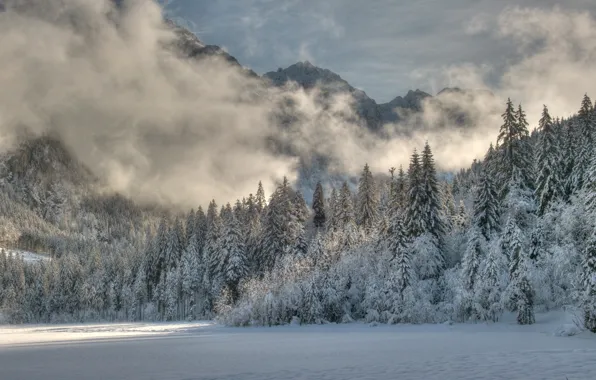 Картинка зима, лес, снег, деревья, горы, следы, туман, Природа, ели, мороз, forest, trees, nature, winter, mountain, …