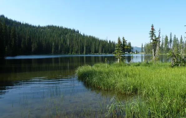 Картинка British Columbia, Scenery, Lake, B.C., Kootenay, Bridal lake