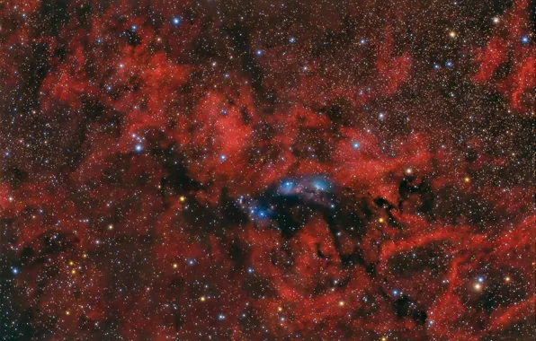 Картинка туманность, Лебедь, NGC 6914, в созвездии, отражающая