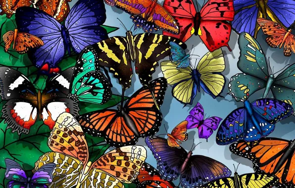 Картинка бабочки, красиво, легко