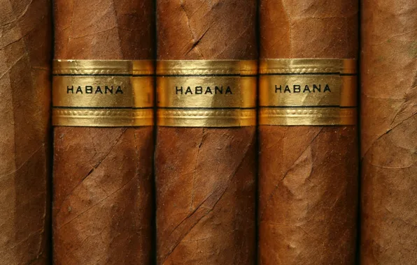 Картинка Brown, Gold label, cuban cigars