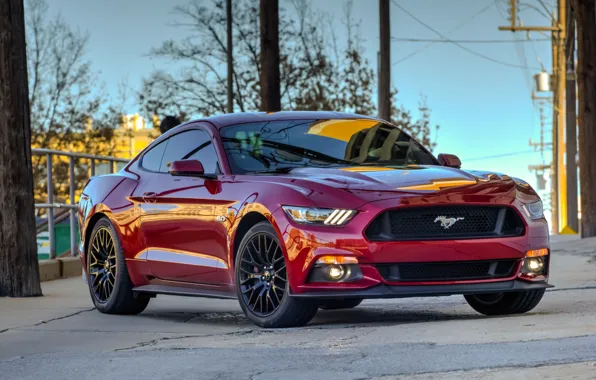 Картинка Mustang, Ford, red, 2015