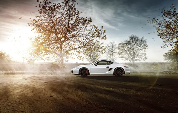 Картинка Porsche, Sky, Sun, White, Side, Supercar, Cayman S, Skid