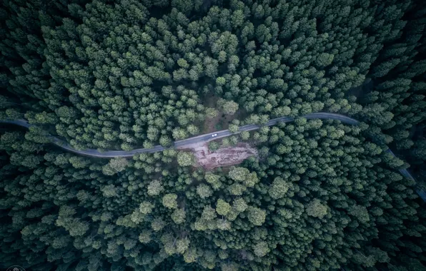 Картинка дорога, машина, лес, вид сверху