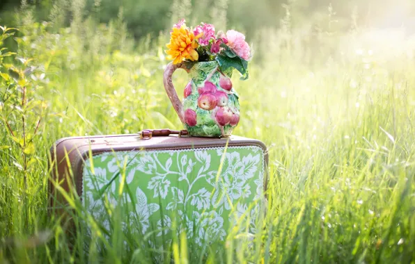 Картинка лето, трава, цветы, природа, чемодан, кувшин