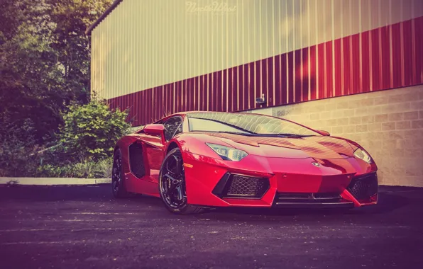 Картинка Lamborghini, Red, Front, Суперкар, Перед, LP700-4, Aventador, Supercar, Rosso Efesto