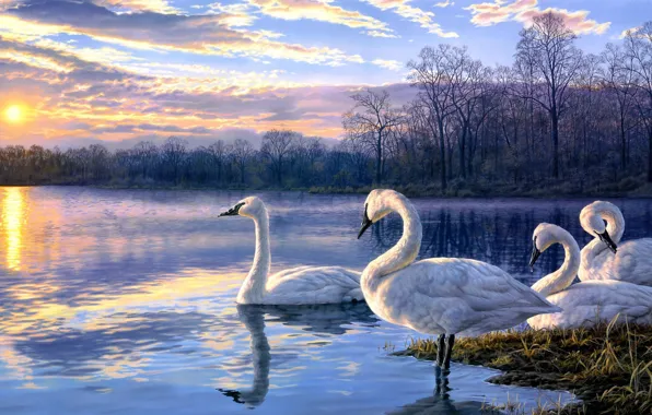 Картинка пейзаж, закат, озеро, арт, лебеди, Darrell Bush