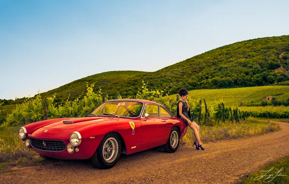 Картинка дорога, девушка, виноградники, Ferrari 250