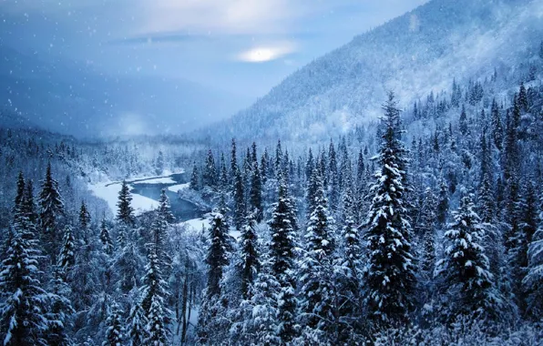 Картинка зима, лес, небо, горы