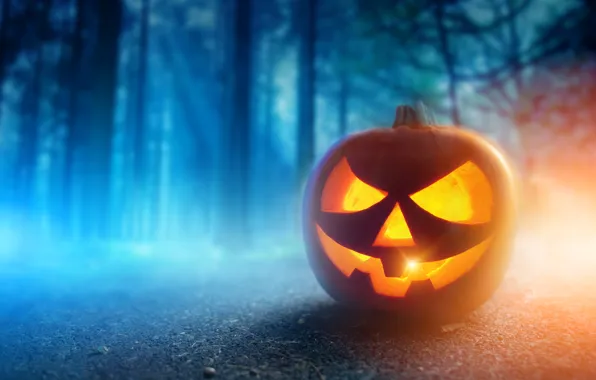 Картинка осень, лес, ночь, Halloween, тыква, Хэллоуин, smile, face, holiday, pumpkin