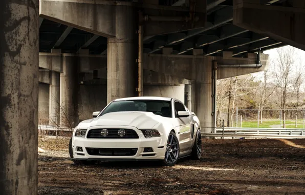 Картинка Mustang, Ford, Форд, Muscle, Мустанг, white, Car, 5.0, front