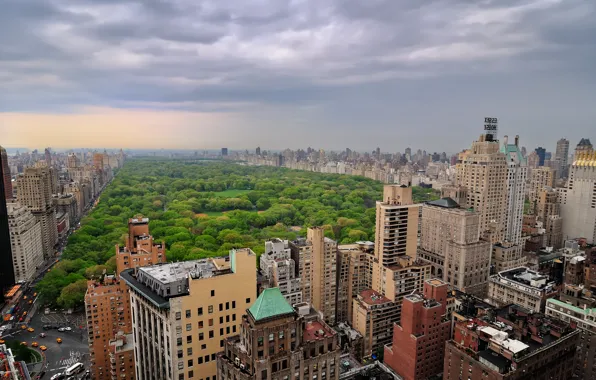 Картинка деревья, тучи, город, пасмурно, здания, дома, Манхэттен, New York, Manhattan, New York City, нью йорк, …