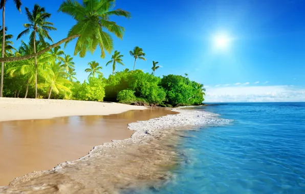 Картинка солнце, тропики, пальмы, океан, волна