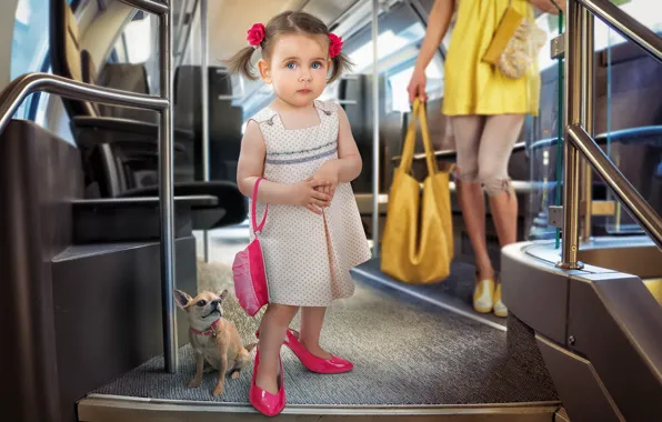 Картинка собака, девочка, автобус