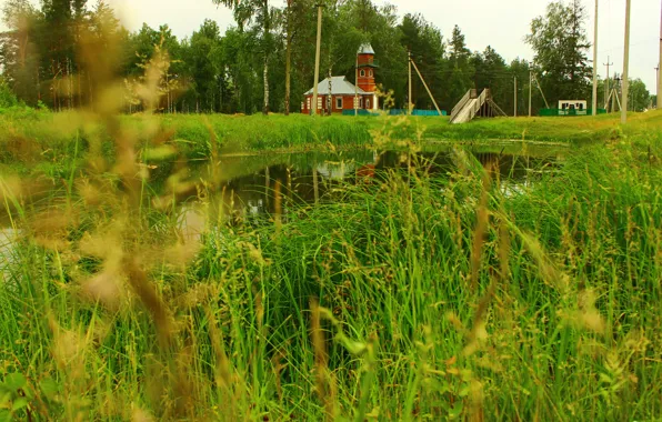 Картинка трава, здание, Река, природа.