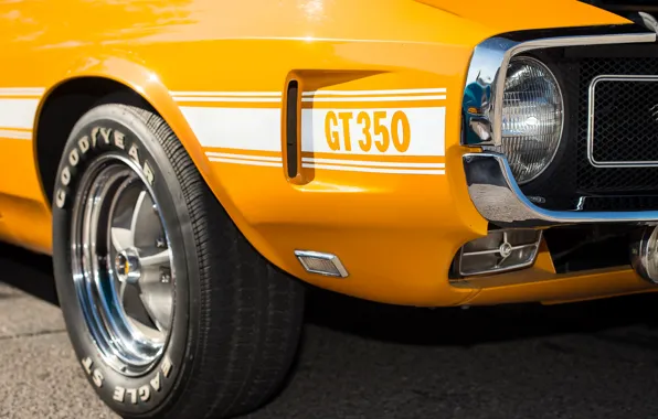 Картинка Ford, Shelby, 1969, мускул кар, GT350