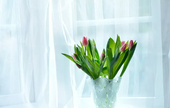 Картинка цветы, дом, комната, букет, окно, тюльпаны, ваза