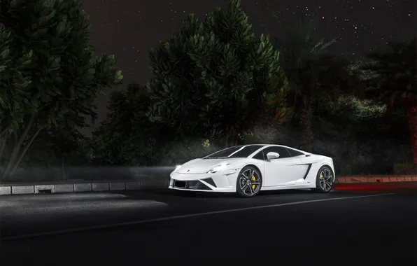 Картинка ночь, Lamborghini, white, Gallardo, ламборджини, night, front, LP560, галлардо