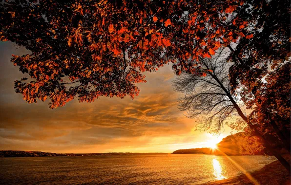 Картинка осень, закат, ветки, река, берег, листва, лучи солнца