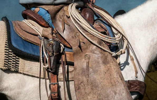 Картинка оружие, конь, седло