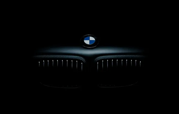 Картинка значок, бмв, капот, BMW, front, E46, шильдик, радиаторная решётка, Jun Dang