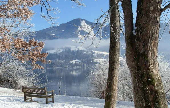Картинка зима, деревья, скамейка, река
