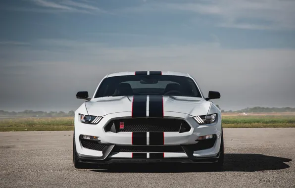 Картинка Mustang, Ford, Shelby, GT350R, 2016