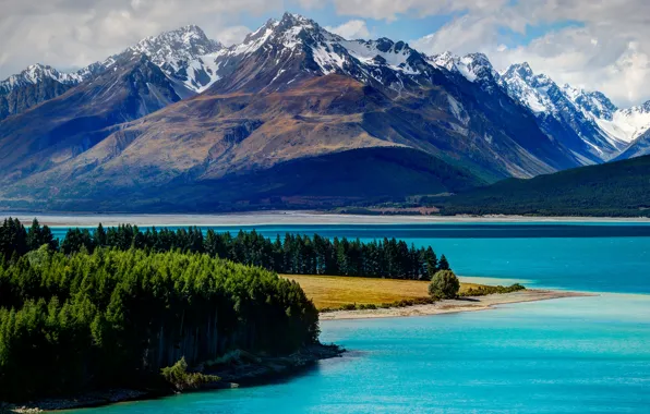 Картинка лес, деревья, горы, озеро, Новая Зеландия, New Zealand, Lake Tekapo, Текапо