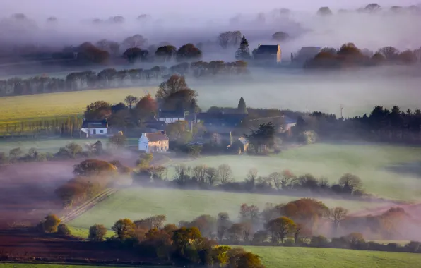 Картинка деревья, туман, поля, Англия, дома