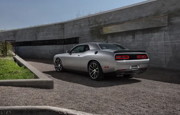 Картинка Dodge, Challenger, Muscle Car, R/T 2015