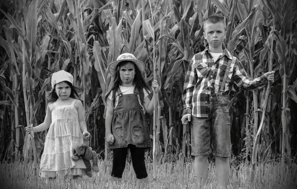 Картинка фото, по мотивам фильма, дети кукурузы