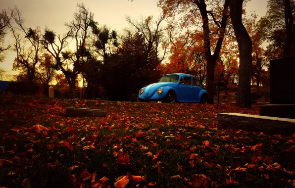 Картинка осень, листья, деревья, могилы, Volkswagen, Beetle, кладбища