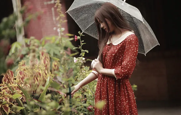 Картинка девушка, лицо, зонтик, дождь, волосы, платье