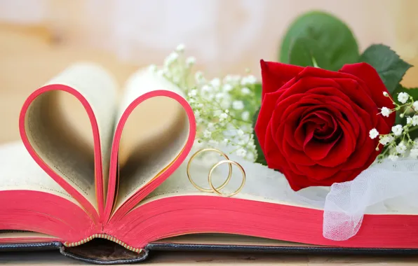 Картинка цветы, розы, valentine's day