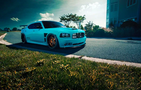 Картинка Dodge, SRT8, Car, Blue, Front, Charger, Rides, Blooded