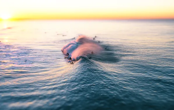 Картинка волна, сёрфинг, The wave