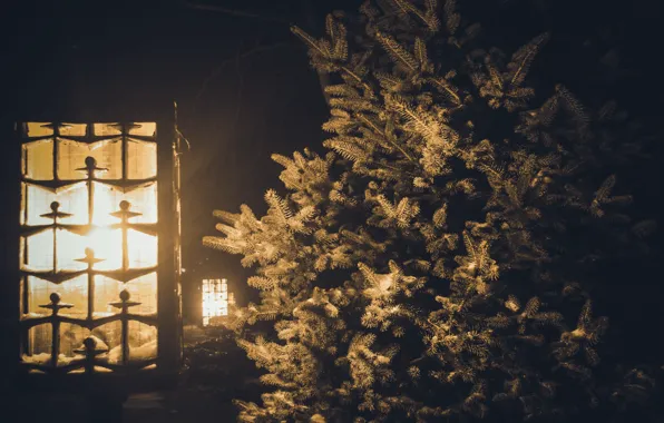 Картинка зима, снег, ночь, фонарь, ёлка
