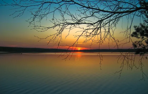 Картинка солнце, закат, река, ветви, берег, спокойствие, тишина, вечер, гармония