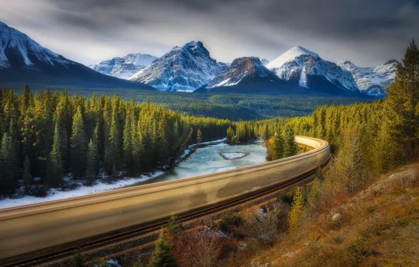 Картинка лес, поезд, выдержка, Канада, Альберта
