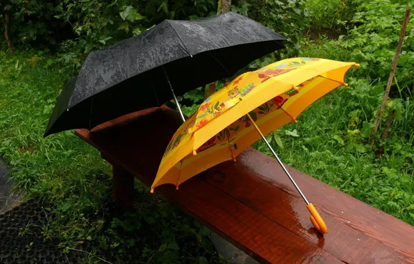 Картинка скамейка, дождь, зонты