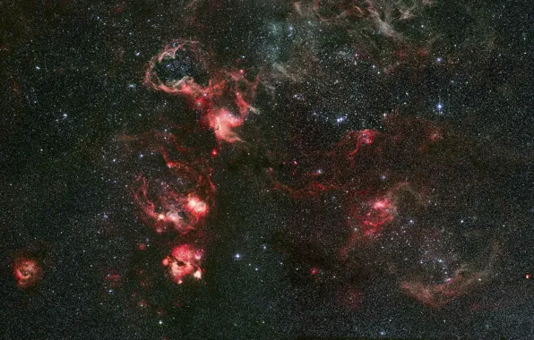 Картинка туманность, созвездие, Золотая Рыба, Тарантул, NGC 2070