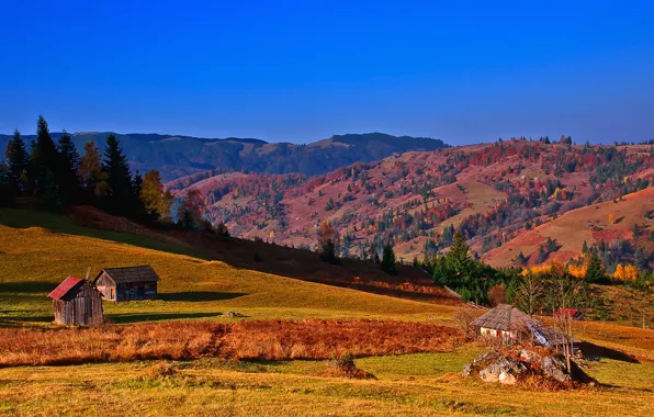 Картинка осень, небо, деревья, горы, дом, склон, Украина, хата, Карпаты
