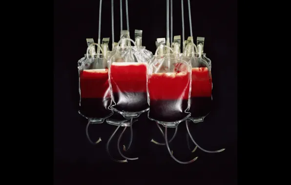Картинка blood bags, blood transfusion, blood donation