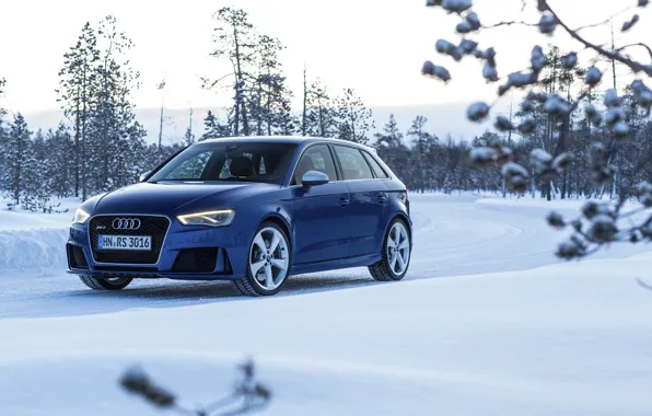 Картинка фото, Audi, Зима, Синий, Снег, Автомобиль, Sportback, RS3, 2015, Металлик