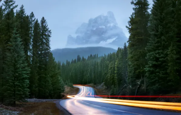 Картинка дорога, лес, свет, горы, природа, огни, туман, выдержка