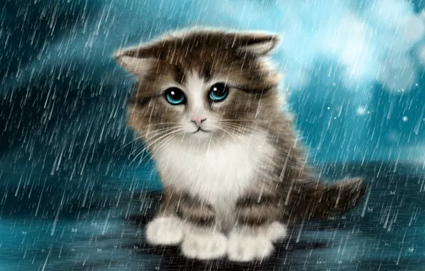 Картинка грусть, котенок, дождь