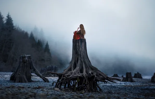 Картинка лес, туман, одиночество, Девушка